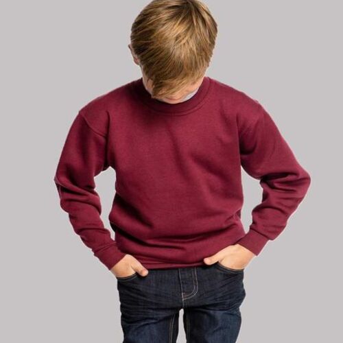Childrens Sweatshirt Thumbnail