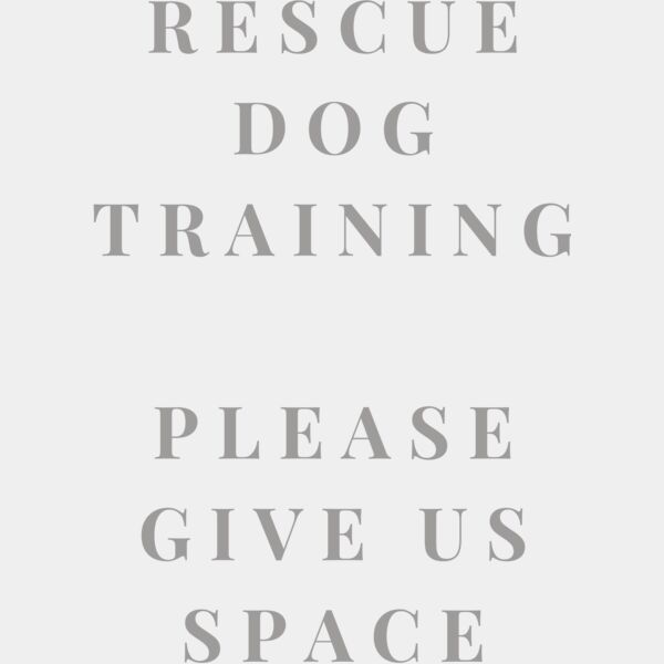 Rescue Dog In Training 2 Thumbnail