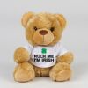Bear in a t-shirt Thumbnail