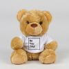 Bear in a t-shirt Thumbnail