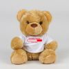 Bear in a t-shirt Thumbnail