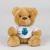 Bear in a t-shirt Thumbnail