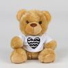 Bear in a t-shirt Thumbnail