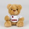 Bear in a t-shirt Thumbnail
