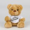 Bear in a t-shirt Thumbnail