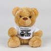 Bear in a t-shirt Thumbnail
