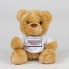 Bear in a t-shirt Thumbnail