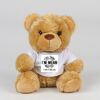 Bear in a t-shirt Thumbnail