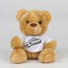 Bear in a t-shirt Thumbnail