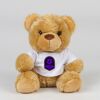 Bear in a t-shirt Thumbnail